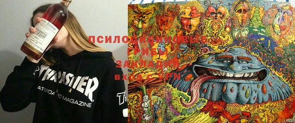 кокаин Алзамай
