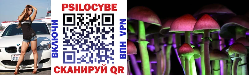 Псилоцибиновые грибы Cubensis  Купить закладки  Власиха 